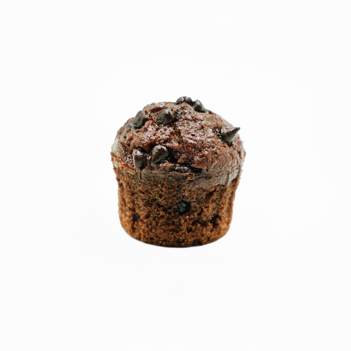 Chocolate Muffin